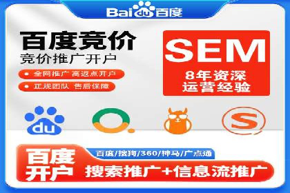 行业领先SEM托管代运营案例